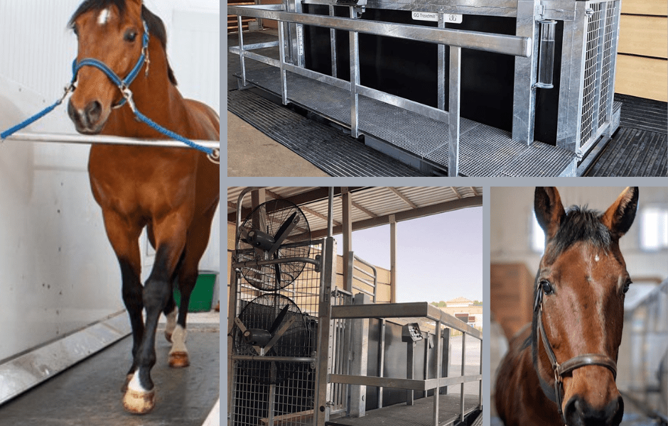 Supplying for the Equine Industry